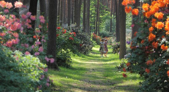 Jaunā akcijā aicina apceļot Latvijas un Igaunijas skaistākos dārzus un parkus