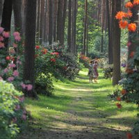 Jaunā akcijā aicina apceļot Latvijas un Igaunijas skaistākos dārzus un parkus
