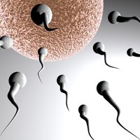 Jauns pētījums norāda uz spermas sliktās kvalitātes saistību ar augstu asinsspiedienu
