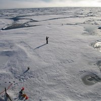Северный полюс сдвигается на восток со скоростью 17 см в год