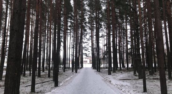 ФОТО. Пешком к морю: прогулка по двухкилометровому променаду в Царникаве