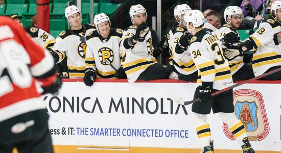 Tralmakam skaists vārtu guvums 'Bruins' zaudējumā AHL