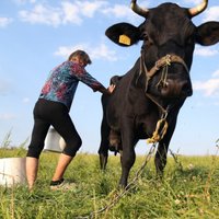 Pašvaldību temperatūra: Lielo novadu lauksaimnieki aktīvākie ES fondu naudas piesaistē