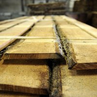 Lietavu dēļ kokapstrādes uzņēmumi Alūksnes novadā apsver iespēju uz laiku pārtraukt darbu