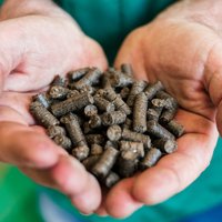 Biomasas asociācija: satraukumam par granulu deficītu nav pamata