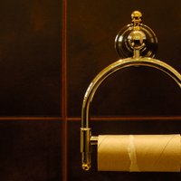 Великий Спор о Туалетной Бумаге — через верх или через низ? (6 аргументов)