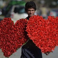 Pakistānā aizliedz 'nepiedienīgās' Valentīndienas svinības