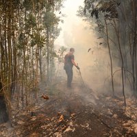 Portugālē izsludināts katastrofāls stāvoklis; savvaļas ugunsgrēkos jau septiņi mirušie