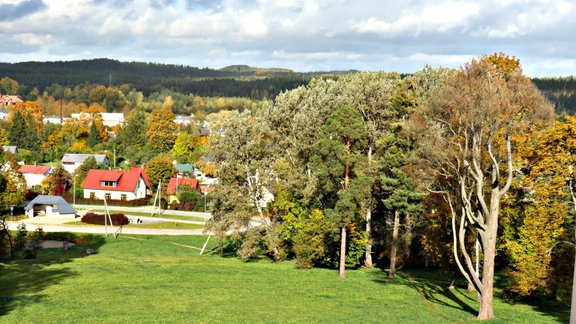 Veimuta priede Durbes pils parkā - 1