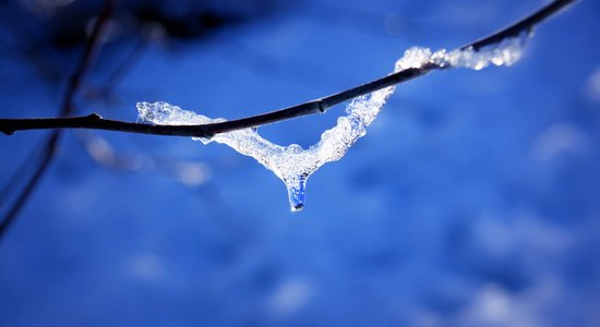 Ģertrūdes diena: senču tradīcijas tiem, kas baidās no čūskām un kukaiņiem