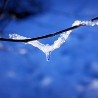 Синоптики обещают резкое чередование оттепелей и морозов до -15 градусов