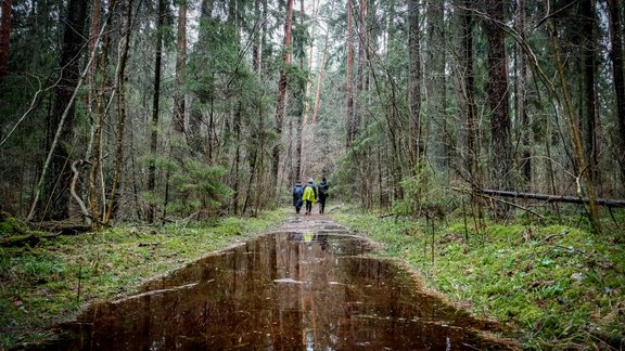 Viesatas upesloku taka pavasara tvīksmē - 74