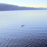 Uzņemts labākais Lohnesa ezera monstra foto
