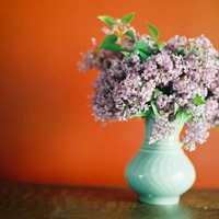 Četras idejas, kā mājoklī ieviest pavasara smaržu