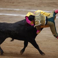 ВИДЕО: Раненый в горло мексиканский матадор вернулся на арену и убил быка