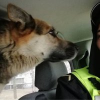 Foto: Policisti Ziepniekkalnā atrod noklīdušu suni