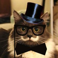 Internetā slavens kļuvis kaķis hipsters