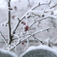 Синоптики: на Латвию надвигается похолодание, ожидаются дожди и снег