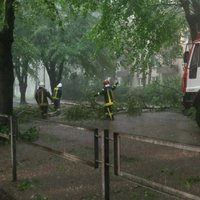 Град с половину ладони, потоп и поваленные деревья: латвийцы делятся фотографиями ненастья