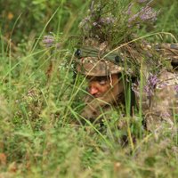 Под Даугавпилсом пройдут военные учения НАТО