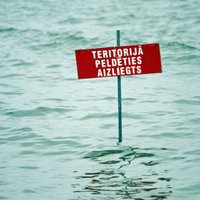 Zilaļģu savairošanās dēļ noteikti ierobežojumi vairākās Latvijas peldvietās