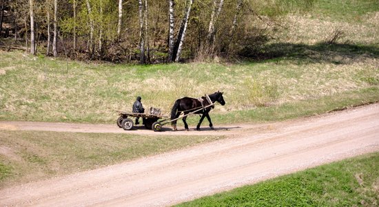 В Лудзенском крае задержан пьяный на телеге с лошадью