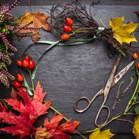 Kādus dabas materiālus ievākt rudens sezonā, lai tos izmantotu floristikā?