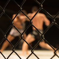 Skatītājs MMA turnīrā iziet ringā un izcīna čempiona jostu