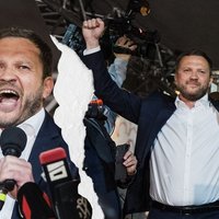 Спикер парламента Грузии обвинил глав МИДов стран Балтии в попытке госпереворота