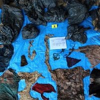 Masu kapos Meksikā atrod 166 cilvēku mirstīgās atliekas