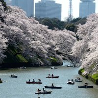 Власти Японии будут платить жителям Токио $27 тысяч для того, чтобы они уехали жить в другое место
