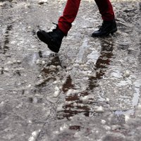 Очередной циклон принесет в Латвию мокрый снег