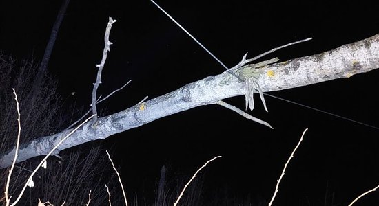 Foto: "Sadales tīkls" novērsis jau teju 200 vētras raisītu bojājumu; vējš posta vēl