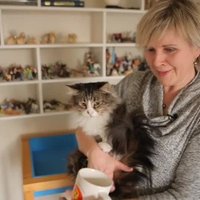 Psihoterapeite Diāna Zande: Kaķi nav mani bērni