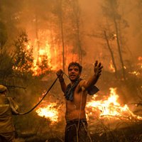 Лесные пожары: в Греции эвакуировали жителей острова Эвбея