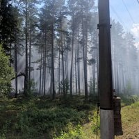 Industriālā parka attīstīšanai Latgalē nodod 256,65 hektārus meža