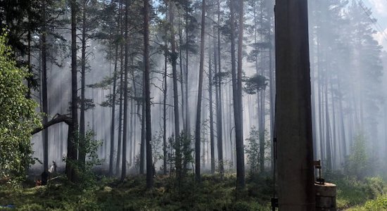 Brīvdienās Valkā dzēsts šogad lielākais meža ugunsgrēks