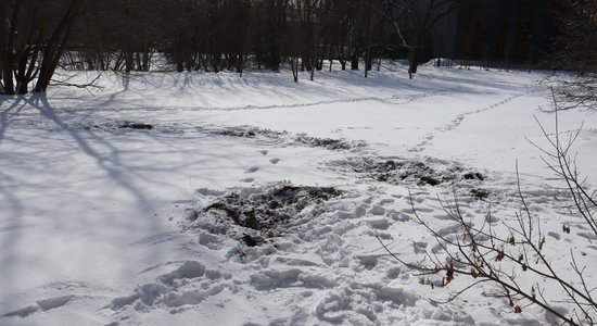 Kultūras mantojuma uzraugi aizsargājamā zonā Dzegužkalna parkā notver mantraci