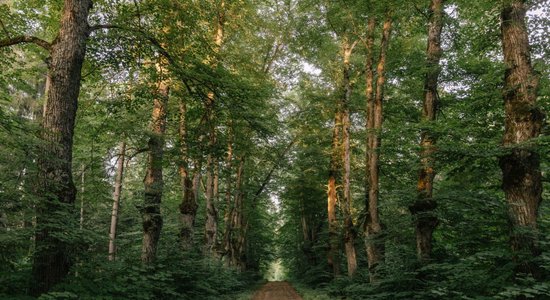 20. maijā notiks 12 kilometrus garš pārgājiens pa Trikātas apkārtni