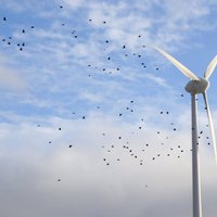 Aktīvāk jākāpina vēja enerģijas ražošanas jaudas, skubina EK