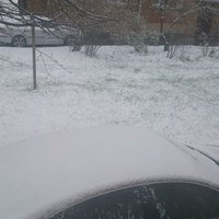 ФОТО: Ровно год назад 10 мая на улице лежал снег