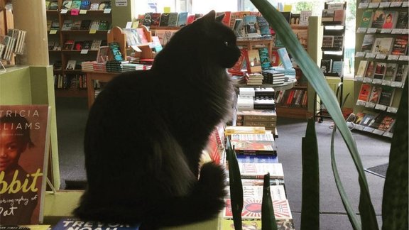 instagram.com/spike_at_leftbankbooks