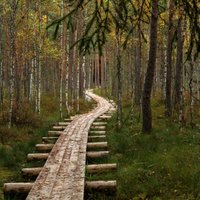 Zelta rudens nav tikai Siguldā! Idejas rudenīgām pastaigām viscaur Latvijā