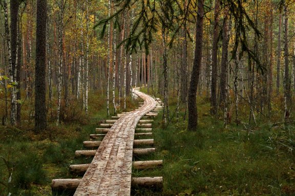 Zelta rudens nav tikai Siguldā! Idejas rudenīgām pastaigām viscaur Latvijā