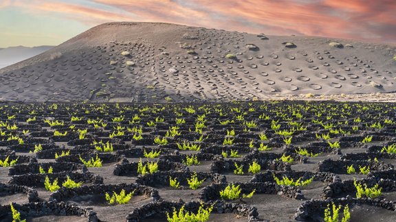 Noslēpumainā Lanzarote, kur vīnogas zeļ vulkāniskajos pelnos 