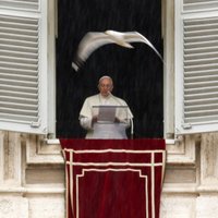 Папа Франциск: 2% католических священников — педофилы