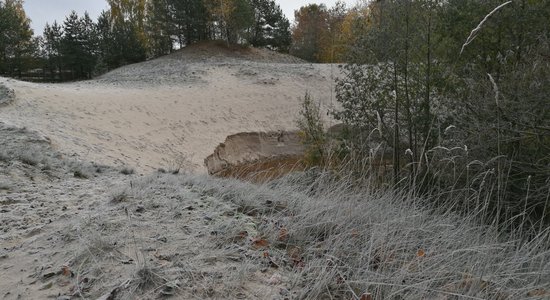 Маршрут выходного дня: природные тропы и рождественские украшения в Энгурском крае