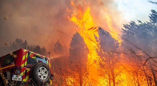 "Температурный апокалипсис": в Британии 40,2°С, это рекорд. Европа охвачена пожарами