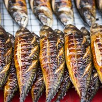 Grilēšanas dueļi, degustācijas un zupas vārīšana: Centrāltirgū notiks Jūras un zivju svētki