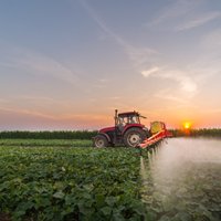 Laukā no manas guļamistabas! Latvija ceļā uz pesticīdu lietošanas ierobežojumiem